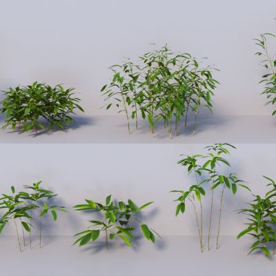 现代竹子3D模型