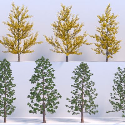 现代树木 银杏3D模型