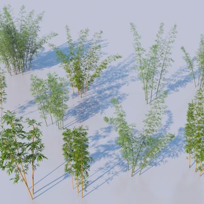 现代竹子3D模型