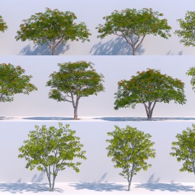 现代树木3D模型