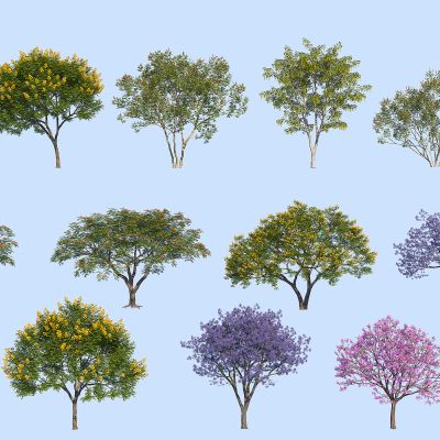 现代树木3D模型