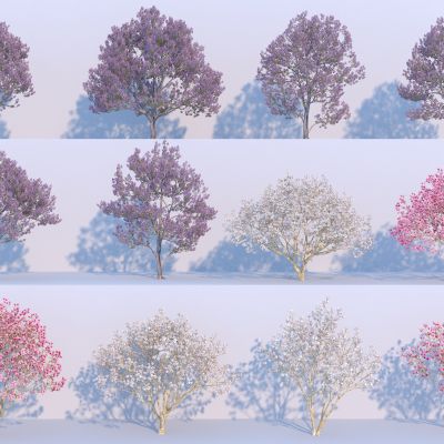现代开花树 樱花树3D模型