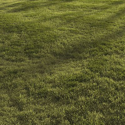 现代绿茵草坪草地