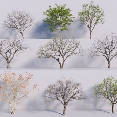 现代树木 枯树3D模型