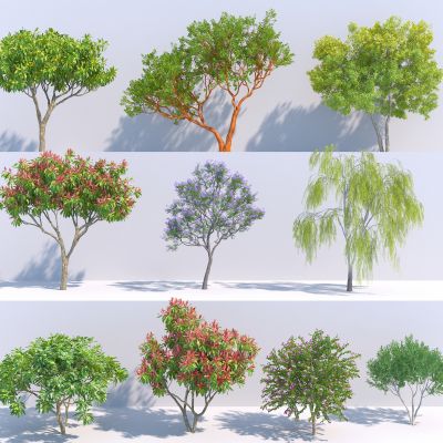 现代树木3D模型