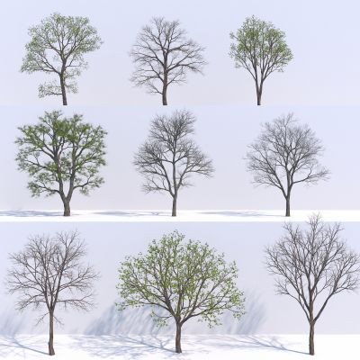 现代枯树3D模型