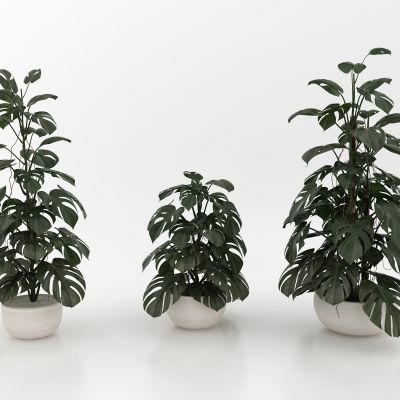 现代风格植物3D模型