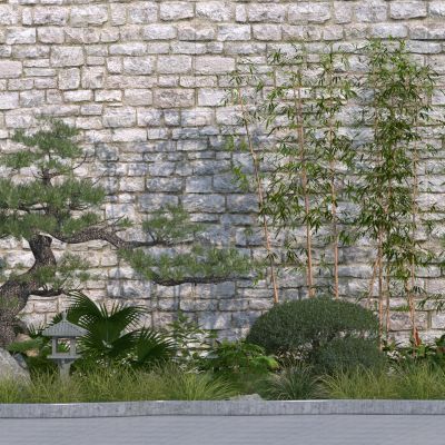 现代灌木花草组合