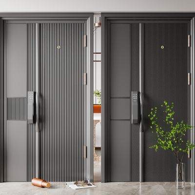 现代入户门  子母门