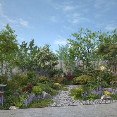 现代庭院景观植物