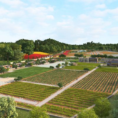 现代农田耕地花海