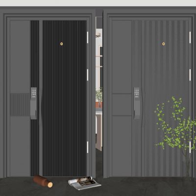 现代入户门