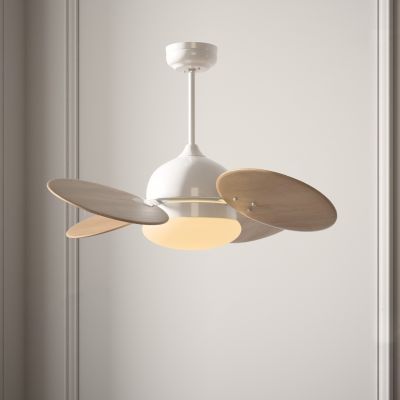 现代风扇形吊灯