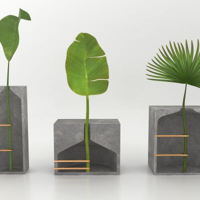 现代风格植物