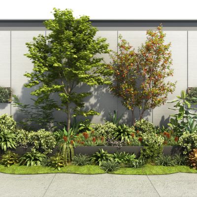 现代植物堆景观