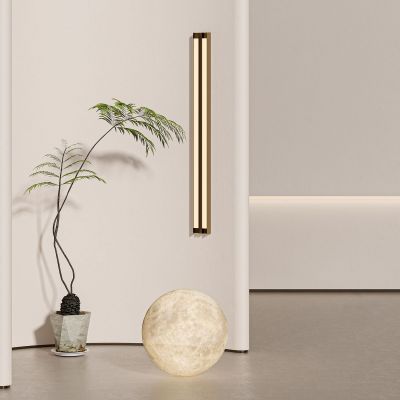 绿植盆栽 盆景 月球灯