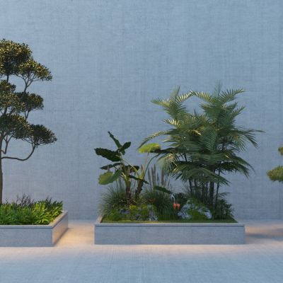 现代花坛植物景观组合