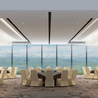 酒店餐厅餐馆新中式包间宴会厅包厢