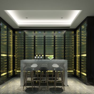 不锈钢红酒窖冷藏室恒温室恒温柜展示柜冷藏柜红酒酒窖