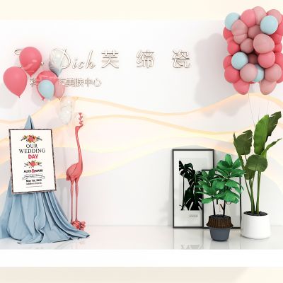 美容会所形像墙,气球，植物，画