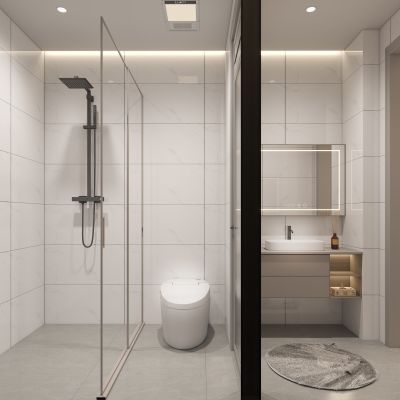 现代家装干湿分离卫生间3D模型