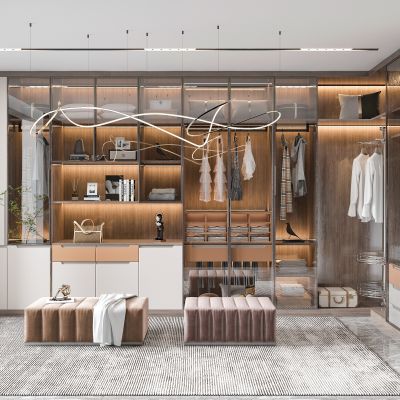 现代衣帽间