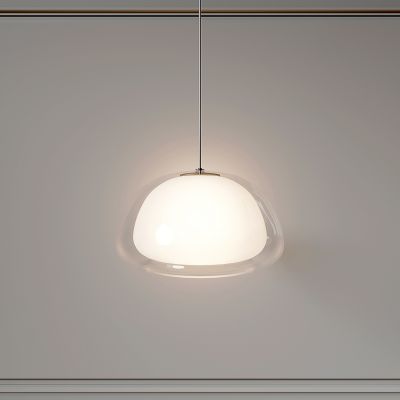 现代吊灯 单头吊灯 餐厅吊灯 玻璃吊灯 主灯 轻奢 创意 灯具