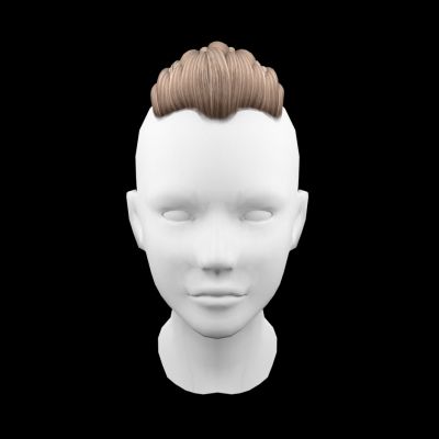 男士大背头鞭子发型头模