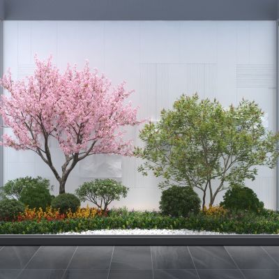 室内景观 植物堆