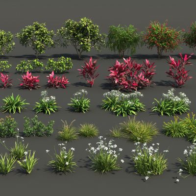 现代花卉灌木组合