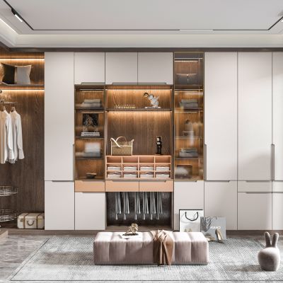 现代衣帽间