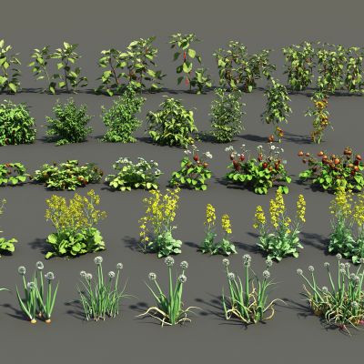 现代花卉农作物组合