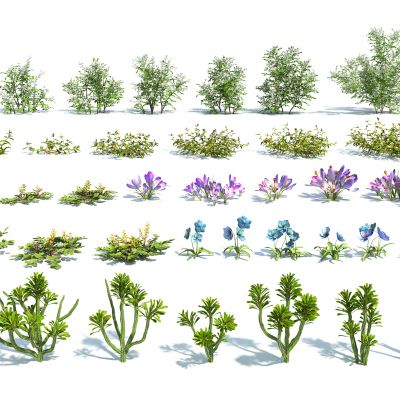 现代花卉灌木组合