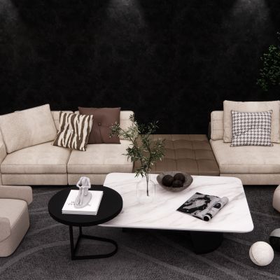 Minotti布艺沙发 沙发茶几组合