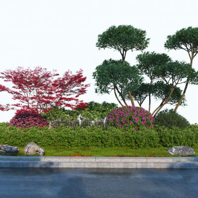 现代花坛植物堆组合