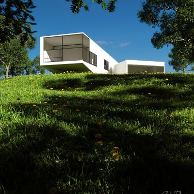 现代室外建筑 植物 盆栽 草 树