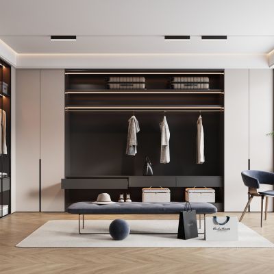 现代衣帽间