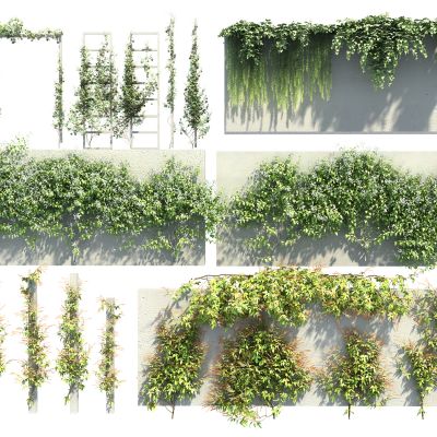 现代绿植藤蔓