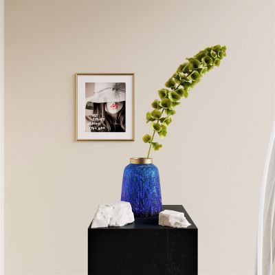 轻奢，水培，植物，玻璃瓶