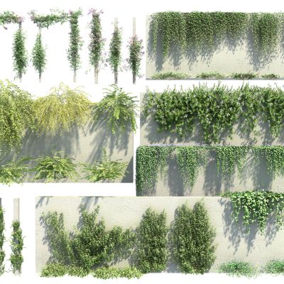 现代绿植藤蔓