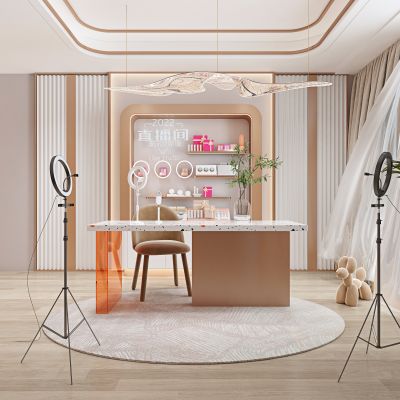 现代美妆直播间