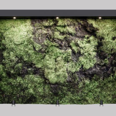 现代植物墙 背景墙