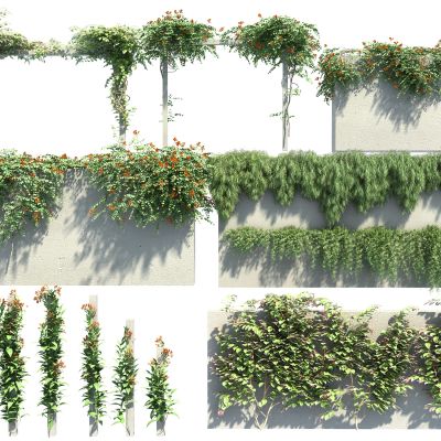 现代绿植藤蔓