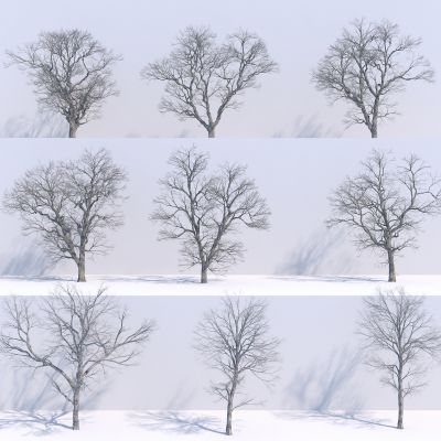 现代枯树3D模型