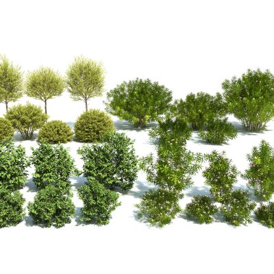 现代灌木树篱组合