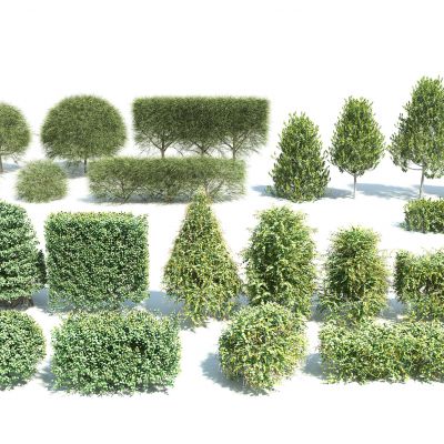 现代灌木树篱组合