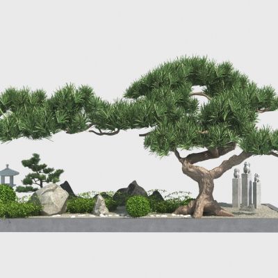 新中式景观造景