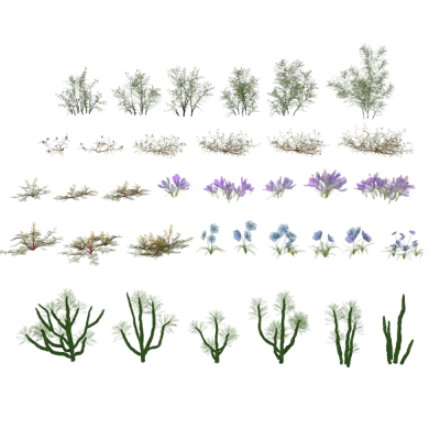 现代花卉灌木组合