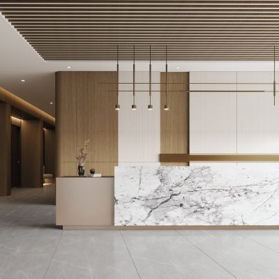 现代轻奢办公前台洽谈接待区