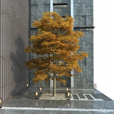 新中式植物造景